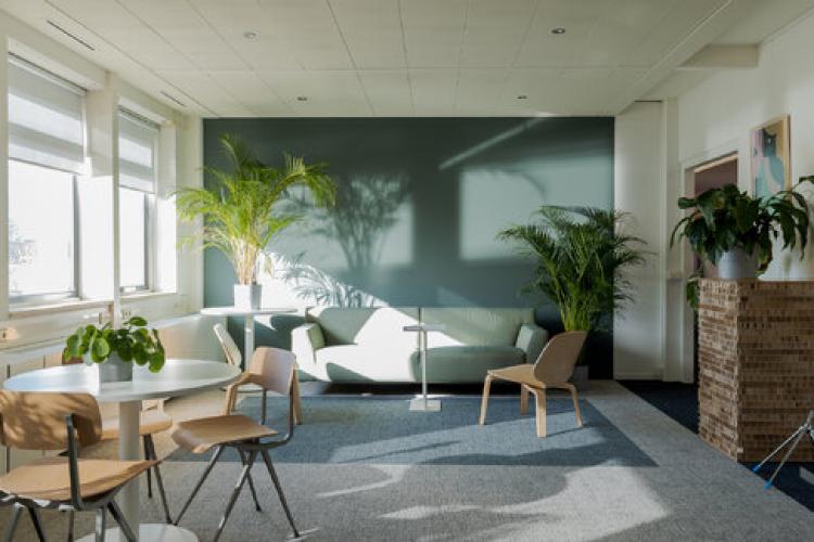 Flexplek Atoomweg 6, Groningen