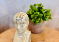 Ingericht kantoor Schoutlaan 10a, Weert